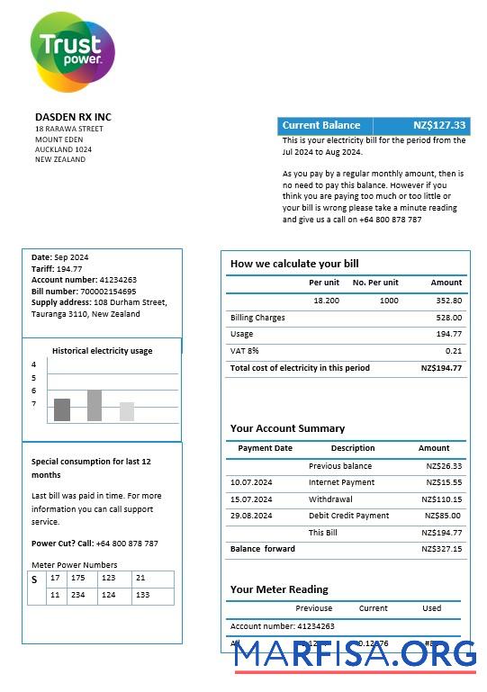 Blank New Zealand Trustpower business utility bill template in Word and PDF formats